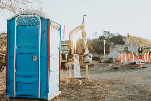 Best Sanitation services for porta potties  in Leadwood, MO